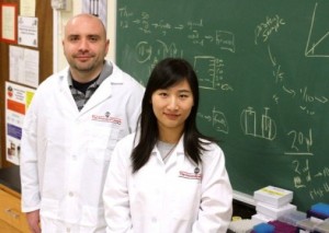 Rob Pazdro, izquierda, y Yang Zhou al frente del estudio que analiza una nueva vía por la que la genética regula el envejecimiento y la enfermedad. Crédito: Cal Powell / Universidad de Georgia
